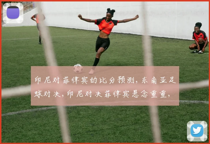 印尼对菲律宾的比分预测,东南亚足球对决,印尼对决菲律宾悬念重重,谁将笑到最后