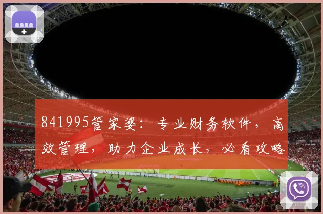 841995管家婆：专业财务软件，高效管理，助力企业成长，必看攻略