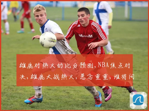 雄鹿对热火的比分预测,NBA焦点对决,雄鹿大战热火,悬念重重,谁将问鼎